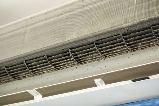 Best Professional Duct Cleaning Services  in Susquehanna Trails, PA